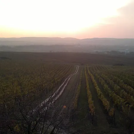 Sommelierka Вальтице