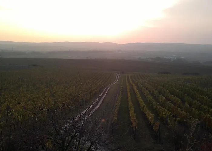 Sommelierka Valtice